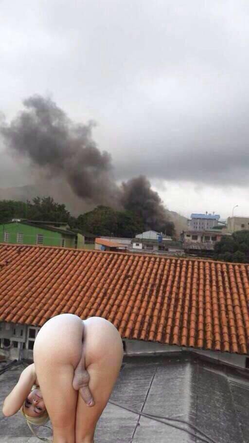 inanılmaz eşek ile seksi sarışın picture