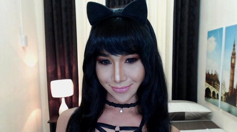 Seksi Travesti Cam Modeli picture