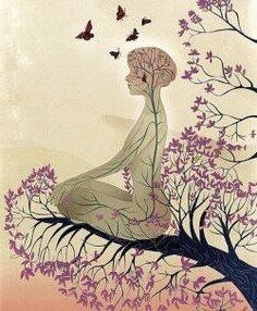 多合一的茧 picture