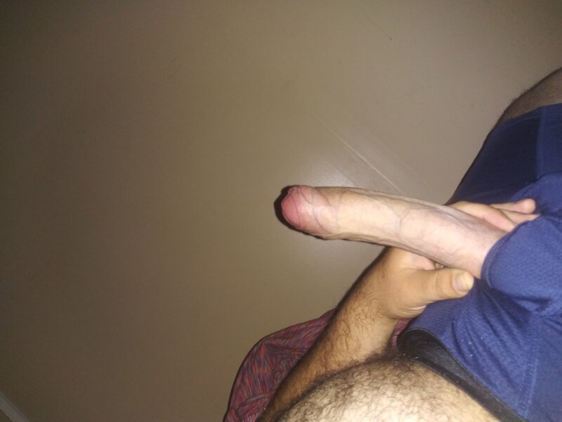 morning wood picture