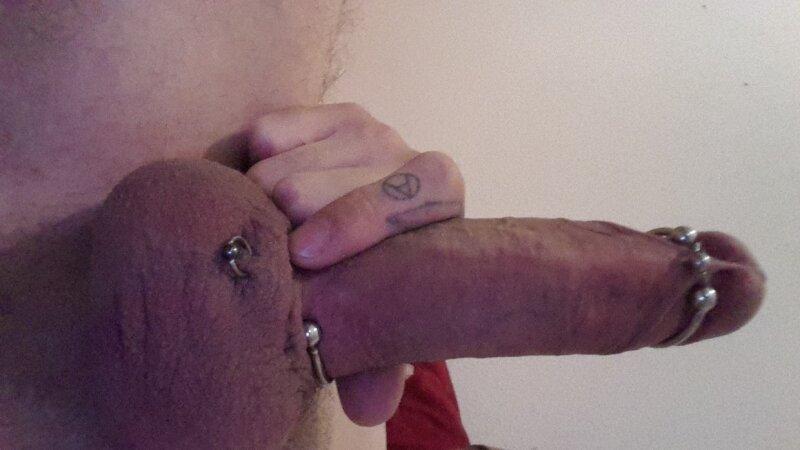 Pierced and equipped hard cock picture