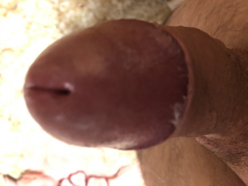 benim horozum picture