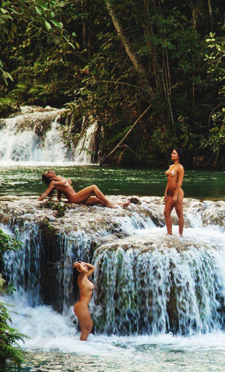 梦想假期 picture