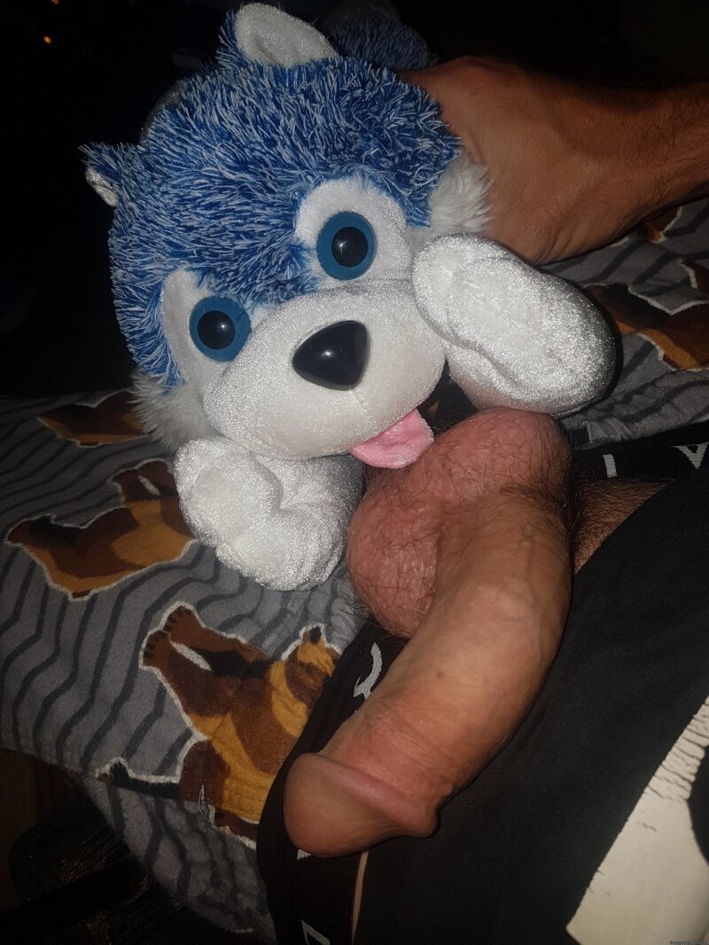 I enjoy lil pup paying my lonely cock some attention picture