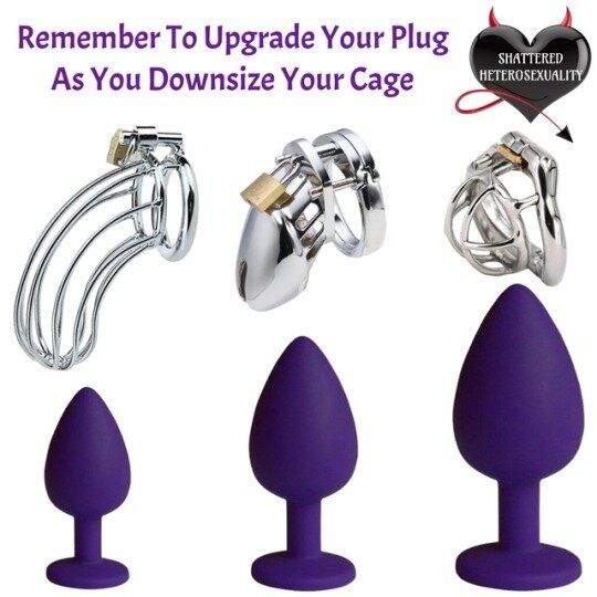 when the size of the chastity cage decreases, that of the anal plug increases picture