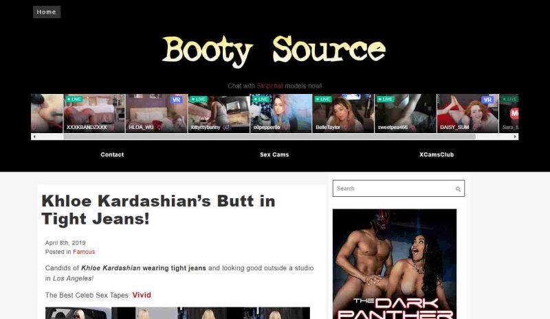 BootySource İncelemesi & 12+ En İyi Ücretsiz Porno Blogları Listesi !! picture