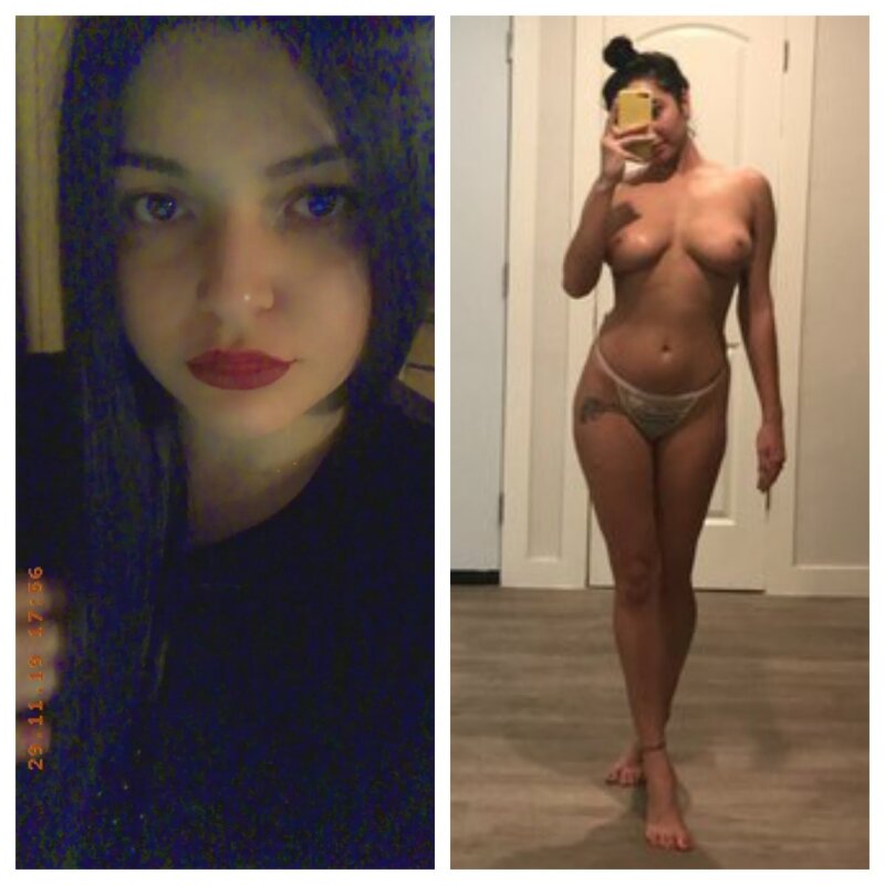 阿尔巴尼亚猫 picture