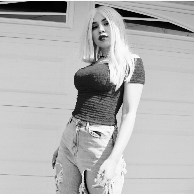 AvaMax picture