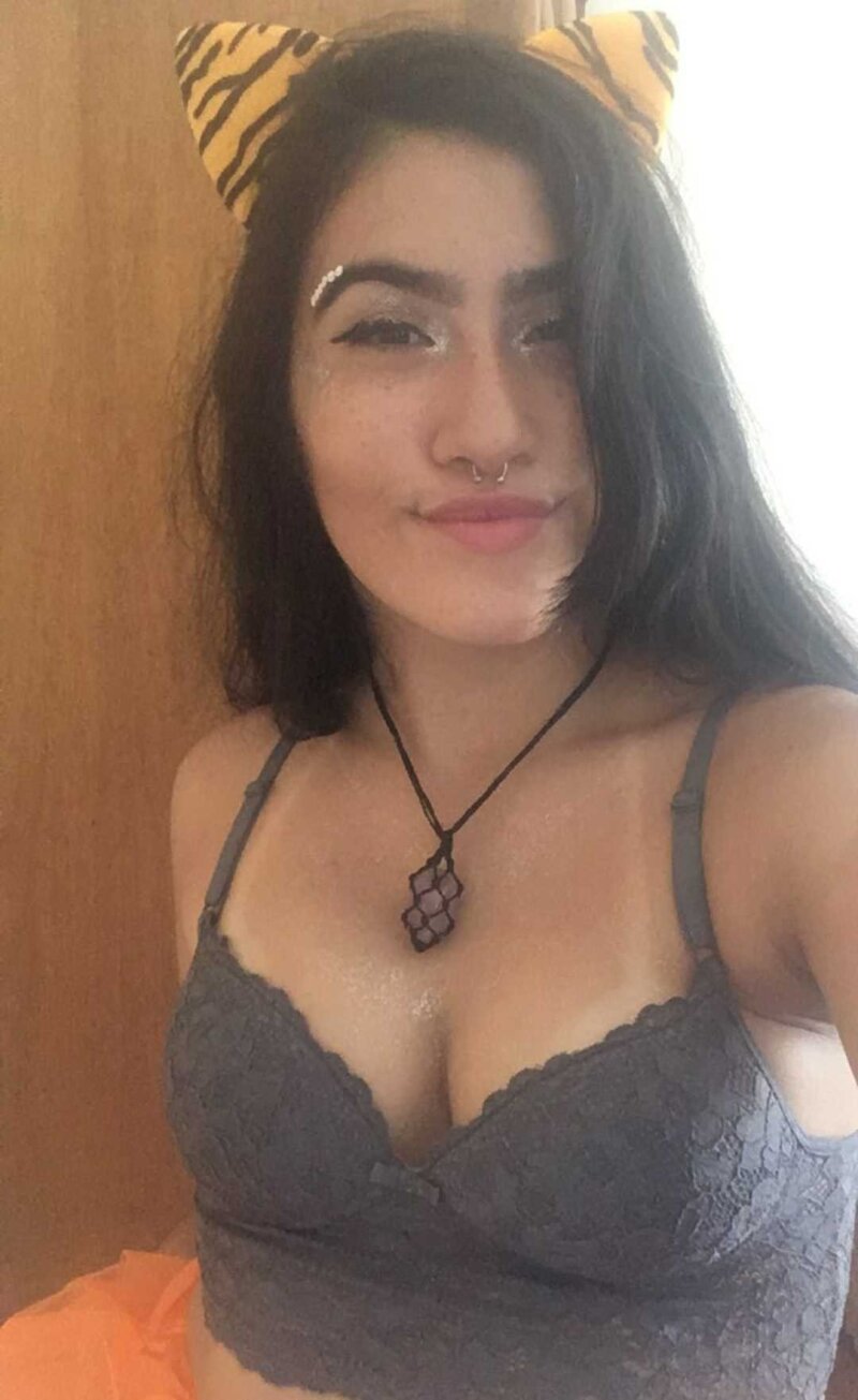 카니발에서 브라질 갈색 머리 picture