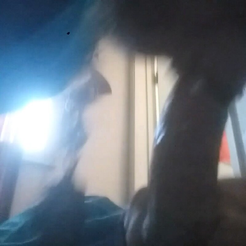 迪克食者 picture