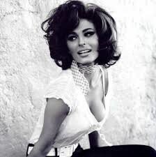 Sophia Loren picture