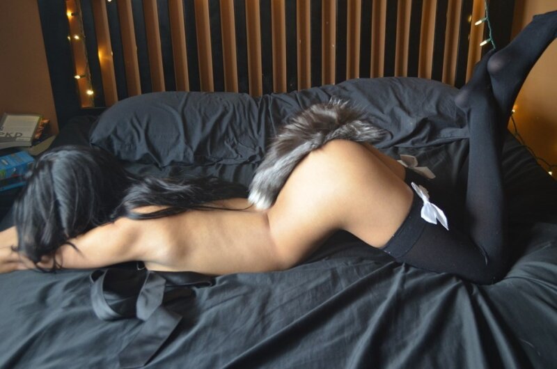 푹신한 꼬리가 달린 애완 동물은 장착이 필요합니다. picture