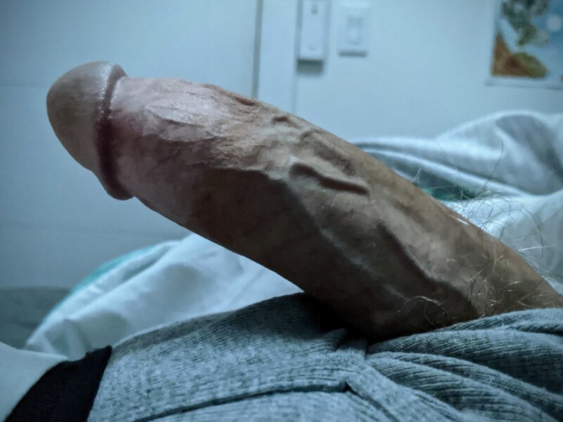 내 아침 나무. picture