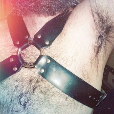 me hairy guy with harness picture