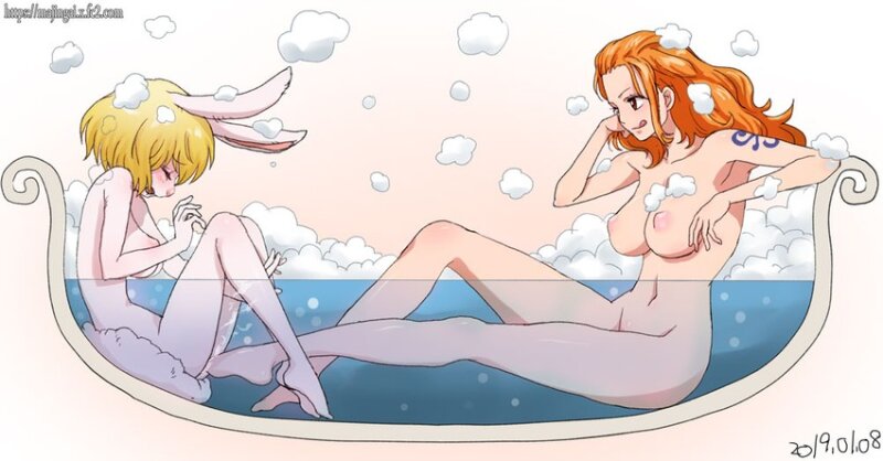 nami and carrot (one piece) drawn by ginko_(silver_fox) picture