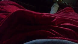 モーニングウッド picture