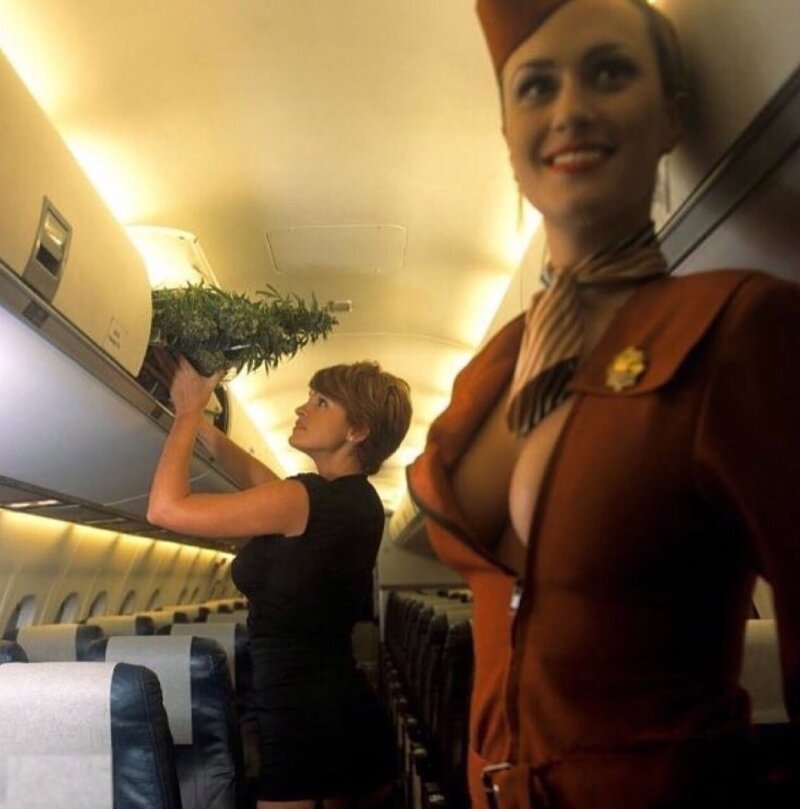 Sexy on plane picture