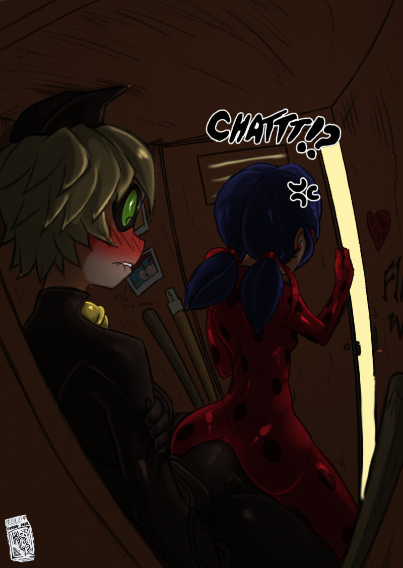 miraculous ladybug sin picture