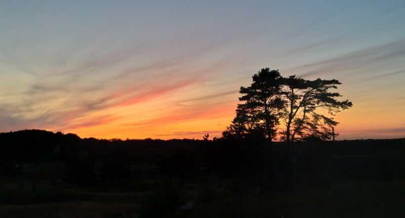 良い夕日が大好き picture