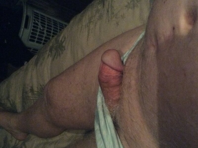 Cock smothered in panties picture