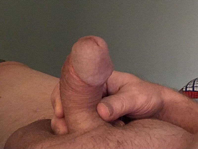 My stiff cock, ready to be sucked or stroked. picture