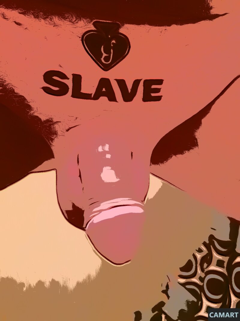 Tiny slave clitty via CAMART picture