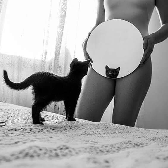 Pussy mirror picture
