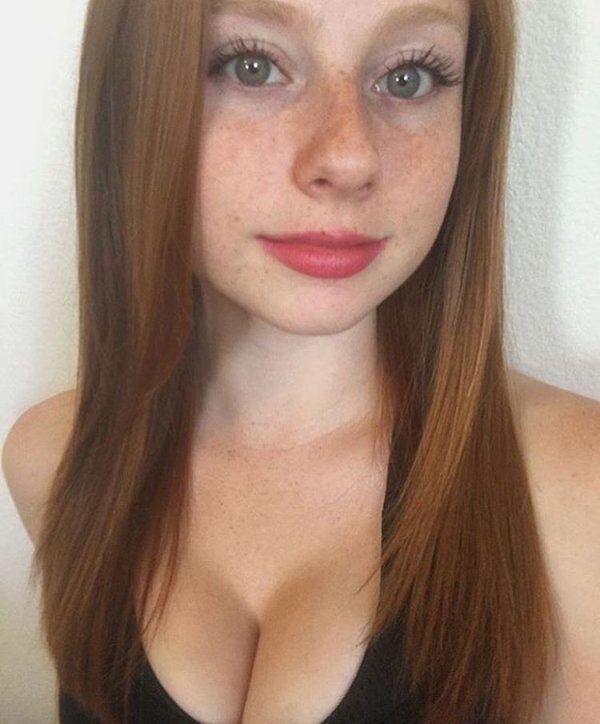 大草原玫瑰 picture