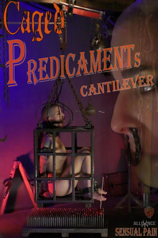Caged Predicaments - Cantilever - Abigail Dupree - Master James picture