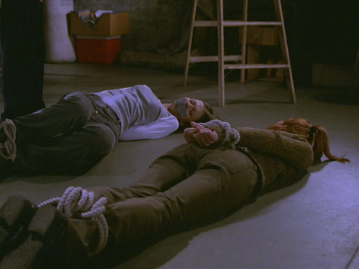 Alyson Hannigan, Michelle Trachtenberg bound - Buffy - Normal Again picture