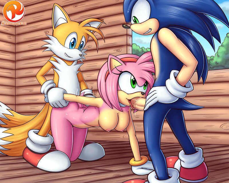 Sonic party picture