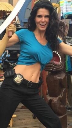Angie Harmon right toned abs picture