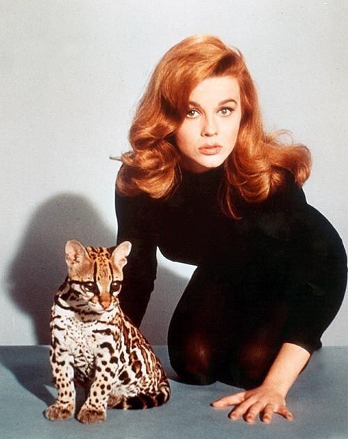 Ann-Margret picture