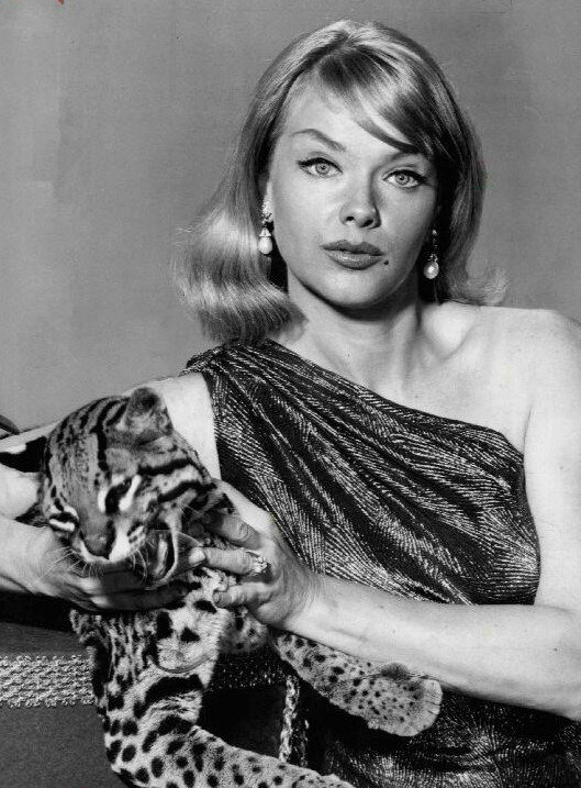 Anne Francis, As 'Honey West'....P.I. picture