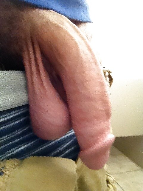 Huge dick and sack of big ballzzzzz picture