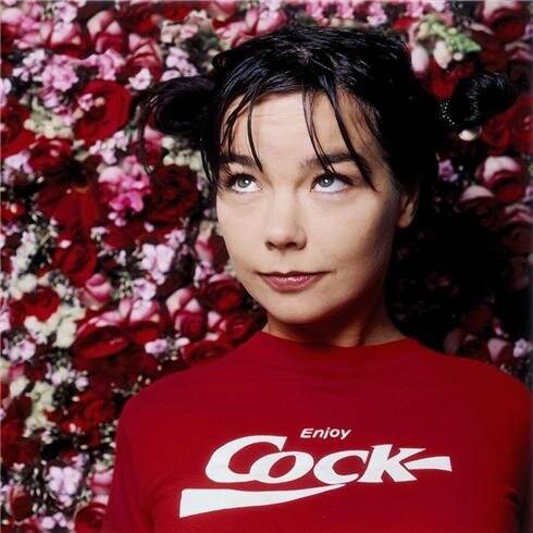 Bjork picture