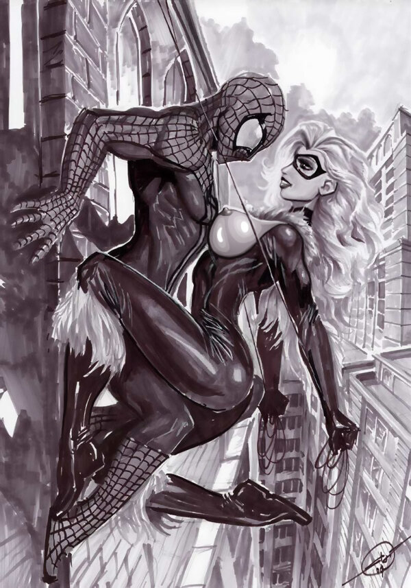 Black Cat pinning Spiderman picture
