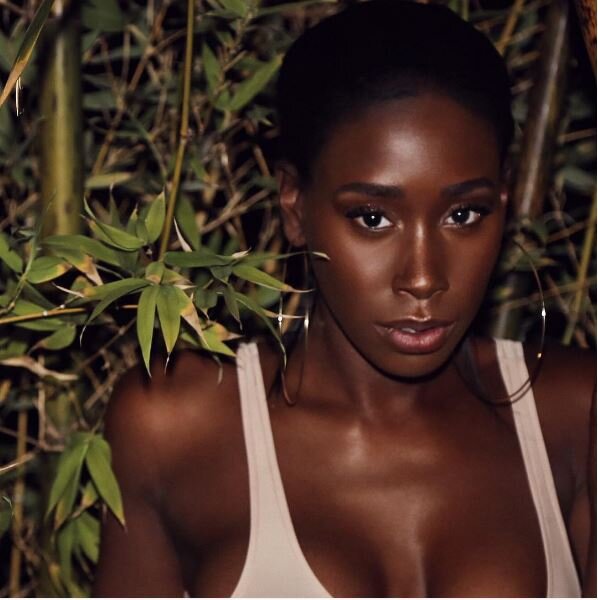 bria myles exotic ebony goddess picture