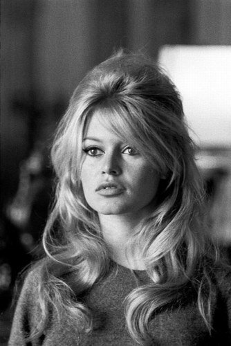 Brigitte Bardot picture