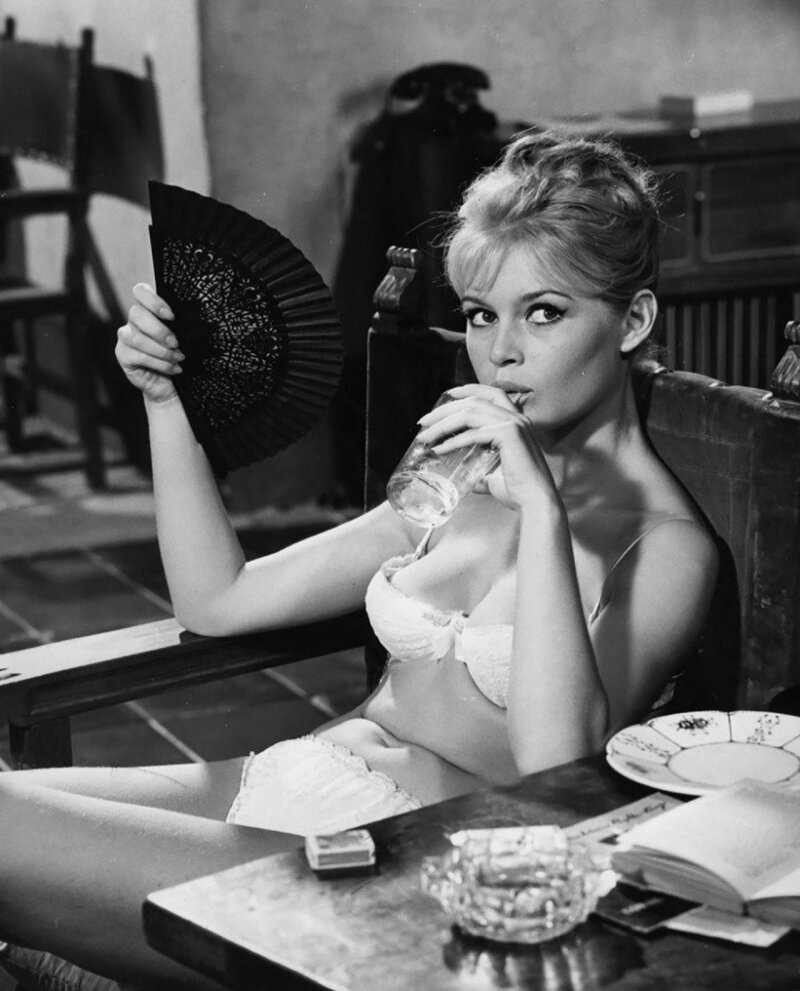 Brigitte Bardot picture