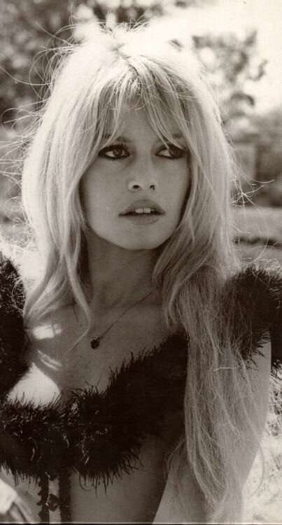 Brigitte Bardot picture