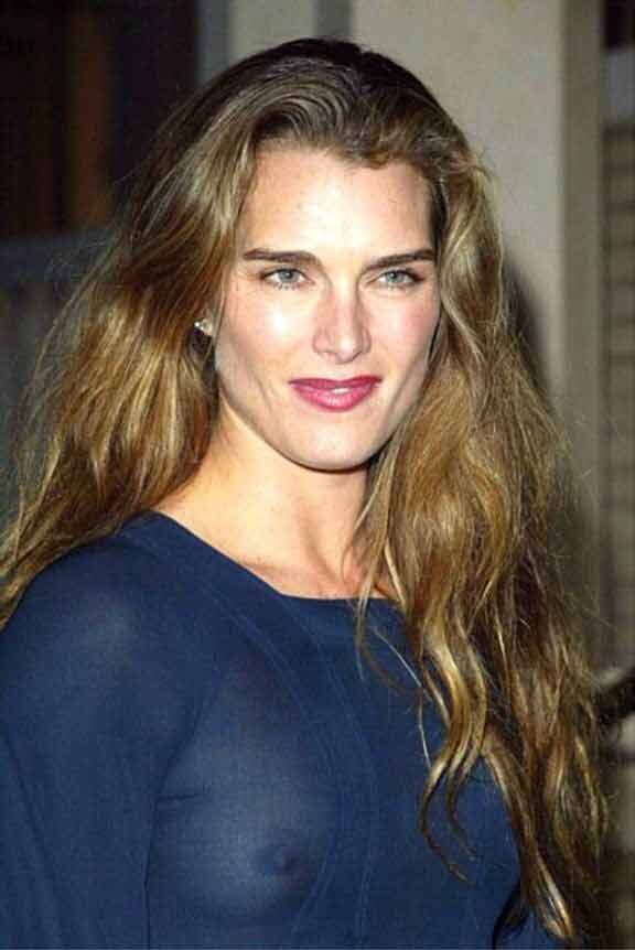 Brooke Shields, A See Through Tit Shot Obscures Your Disclosure You Enjoy The Trendy Hobbies Of Knitting And Crocheting picture