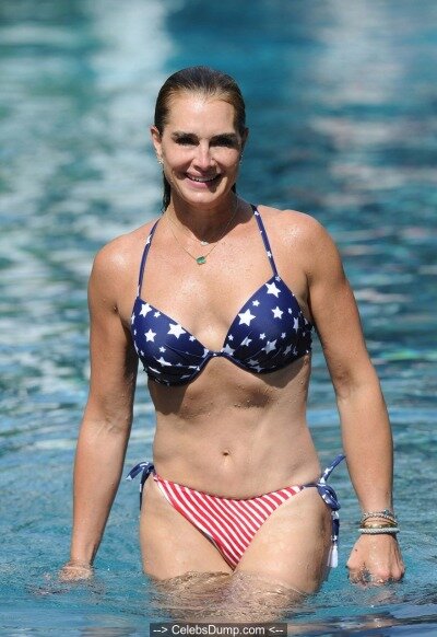 Brooke Shields - Stars and stripes bikini at her home pool in the Hamptons picture