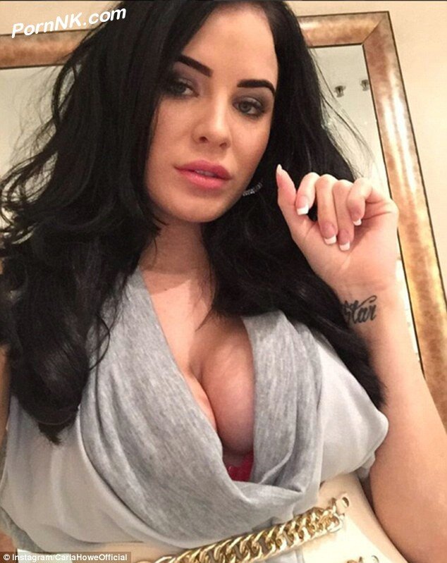 Carla Howe shows off her Playboy-worthy enbonpoint in an Instagram selfie picture