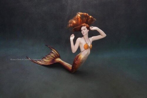 Mermaid Chelsea Ann picture