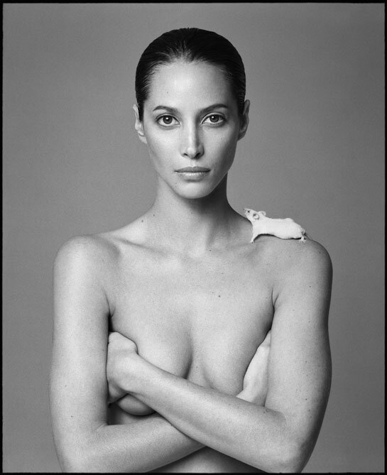 Christy Turlington picture