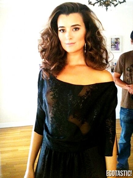 Cote De Pablo picture