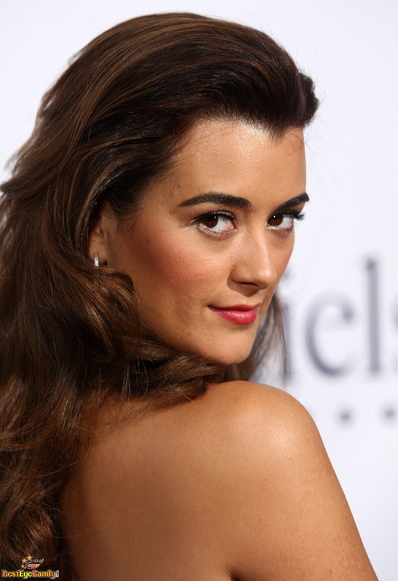 Cote de Pablo picture