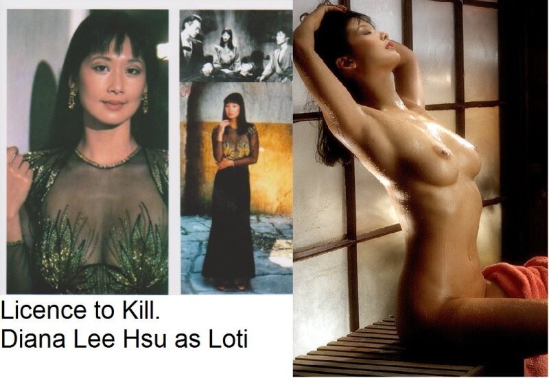 diana lee hsu dressed undressed picture