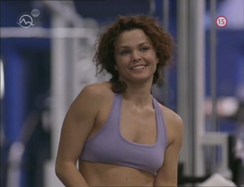 Dina Meyer picture